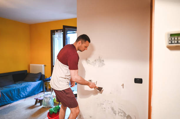 Best Mold Cleaning Services  in Tatum, TX